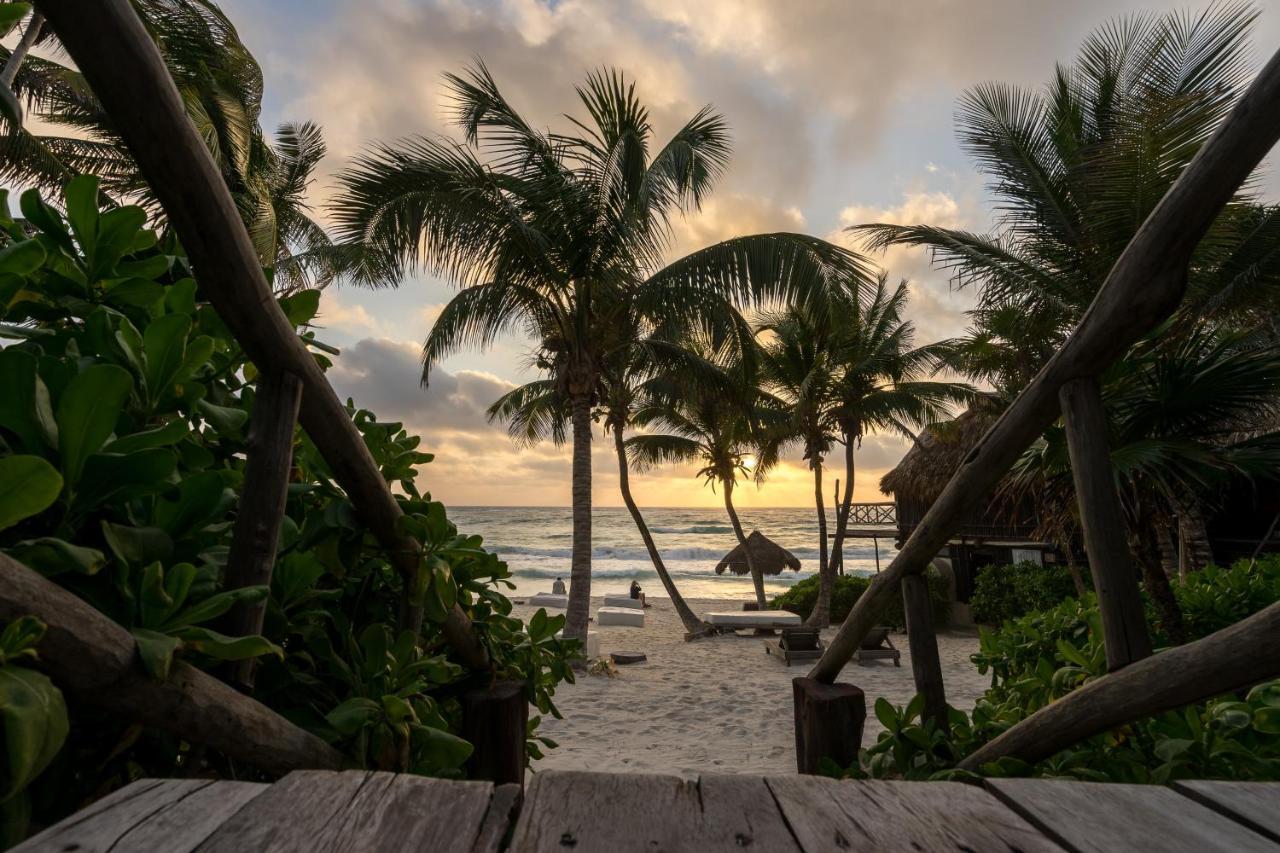 Luv Tulum Hotel ภายนอก รูปภาพ